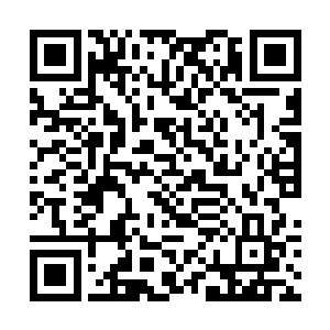 燕青衣就像是一个普通人被方才那一幕给吓傻了一般二维码生成