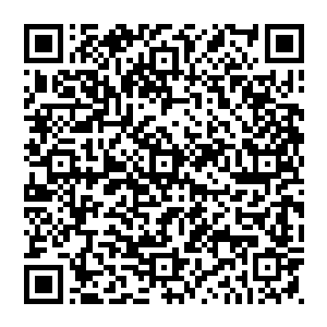 爆炸的火光 从厨房与大厅连接的窗户喷涌了进來 得亏是赵纯良跟罗纳尔多都趴下了 这才沒有被爆炸的冲击二维码生成