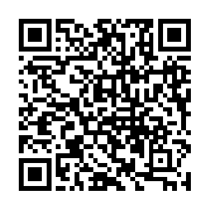 爬虫们有时候会觉得他们挖一个洞就能够解决问题呢二维码生成