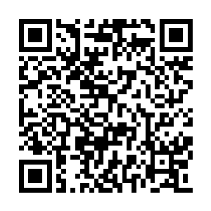 父亲刚刚才把所有的权利交接到自己的手上面来二维码生成