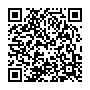 父亲和母亲好不容易彼此打开了心结……她可不能耽误他们二维码生成