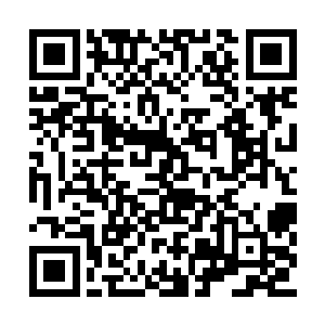 父亲母亲离开的时候给了我很多丹药和天材地宝二维码生成