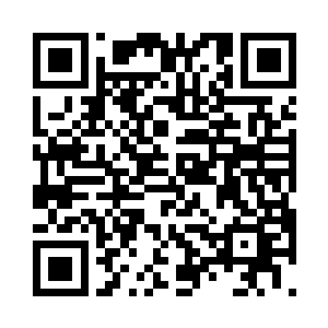 父亲这位为他遮风挡雨的大树倒下之后二维码生成