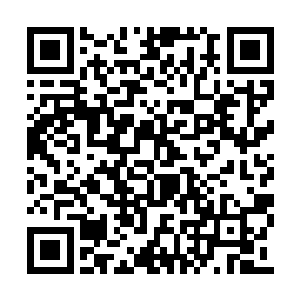 片刻之间就把雷天砍过来的十几道刀芒全部粉碎二维码生成