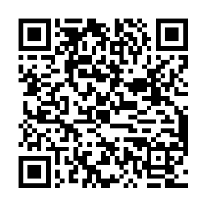 片刻功夫就看到扶暗潮等人乘坐的莲座就在不远处飞行二维码生成