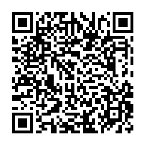 片刻后这位台岛女总统听起来还算铿锵有力的声音便回荡在机舱中二维码生成