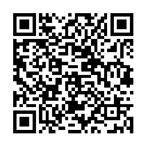 片刻间便出现在了原来众人聚集的那海马洞府之内二维码生成