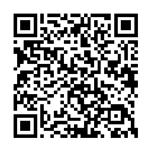 片场中也就是索菲亚才会偶尔跟杜克开几个玩笑二维码生成