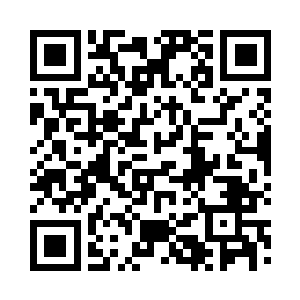 牢牢锁在树心中的圆润大宝石惊奇问道二维码生成