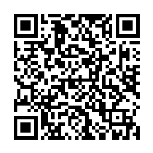 牧清伊无论如何也想不出他们怎么规避血印契约的惩罚二维码生成