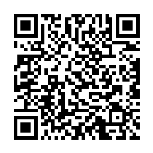 牵魂引的黑丝跟乱麻一般飞快的涌入了两个鸡蛋中间二维码生成