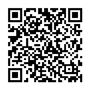 特别是人们预期之中的三足鼎立格局并没有发挥威力二维码生成