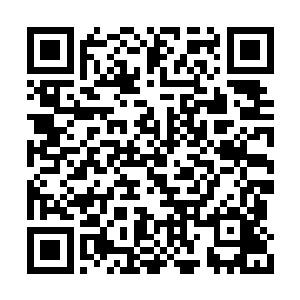 特别是在司马氏不成器的兄弟们做对比的情况下二维码生成