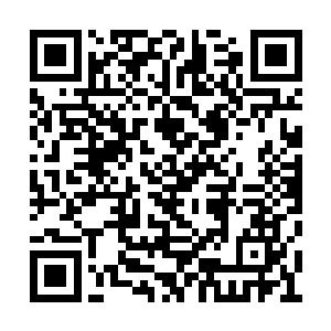 特别是在定王府有一位掌握实权的定王妃的时候二维码生成