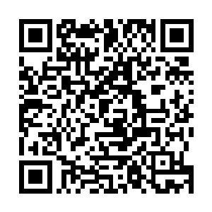 特别是在所有人都可以全部换装一批野狼城堡储备的防具二维码生成