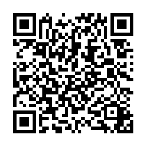 特别是在镇妖塔中得到的各种珍稀材料和那张金刚符咒之后二维码生成