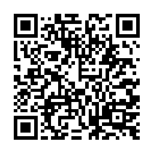 特别是天玄宗和拜火教一行人见到杨家一行人的样子之后二维码生成