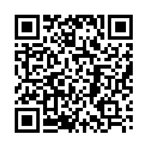 特别是对她的大脑进行了快速而细致的扫描二维码生成