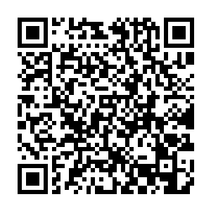 特别是当他们发现就连实力已经超越圣帝的结界之灵小灵竟然也对剑尘这般依赖二维码生成