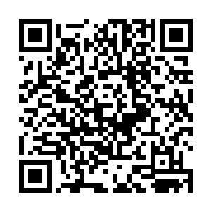 特别是法兰卡少校在品尝脑浆时候脸上的那种诡异笑容二维码生成