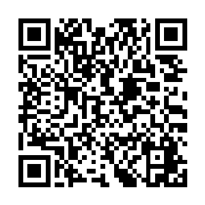 特别是经过这次亡灵入侵之后龙傲天的影响力越来越高二维码生成