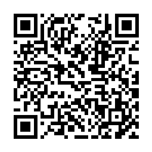 特别是试出来那条大裤衩腰上的橡皮筋貌似不太紧二维码生成