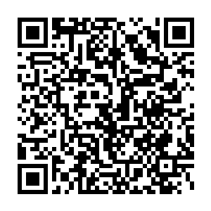 特别是贵宾通道的护卫他们自然是不会像普通人那样带着有色眼镜看人二维码生成