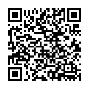 特别是这孩子还是自己比较熟悉的一位堂姐留下的二维码生成