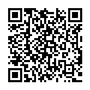 特别是那种第一次进入到仙帝初期的炮灰来说更是十分的兴奋二维码生成