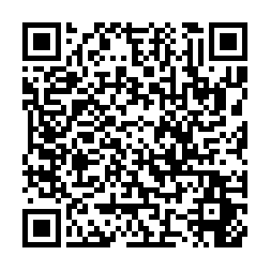 特别是马文从教授那里知道了那些龙牙的作用那是一种非常可怕的龙族禁术二维码生成