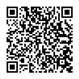 特工夫妇俩制定的a计划当然就是按部就班的在岳兰国内做安保公司防御了二维码生成