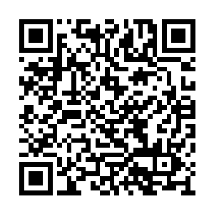 特意让老王从国安局调来几个一等一的精英高手二维码生成