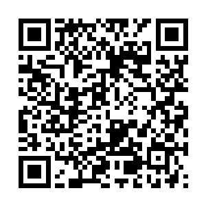 特蕾莎直接从窗户上跳了出去很快消失在黑暗之中二维码生成