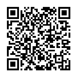 特蕾西的视线认真地打量着那一小块版面所刊登的消息二维码生成