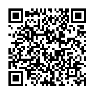 特蕾西知道朗一梅耶的助理加里一斯科特对雨果有好感二维码生成