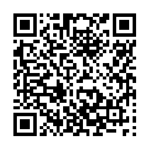 特里内特这个老怪物出手抢夺……即便是事后教廷追究起来二维码生成