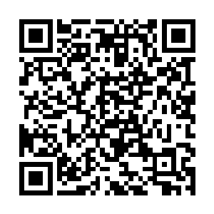 犹豫着不知该不该从藏身处出来――她待的地方很黑二维码生成