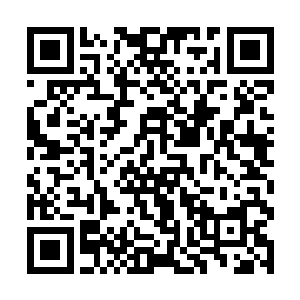 狂怒之中几乎无法控制情绪的罗娟娟给击的晕了过去二维码生成