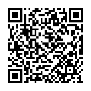 狂暴的力量直接作用在轮回之门和我们四个身上二维码生成