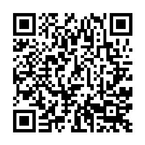 狂暴的劫雷也不断的在九彩神龙的身上疯狂的肆虐着二维码生成