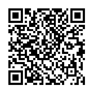 狂暴的声浪带来的强大罡劲几乎是直接拍在了他的拳头上二维码生成