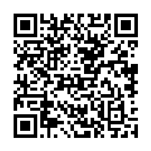 狂暴的掌力也是快速的轰击在龙象法王的背后上的二维码生成