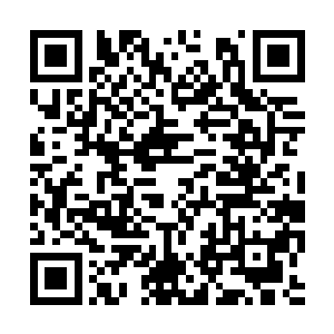 狂暴的毁天灭地的气息也瞬间笼罩到了柳源的身上二维码生成