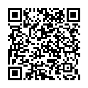 狂暴的风雪和阴气从仙门的废墟往我这里吹过来二维码生成