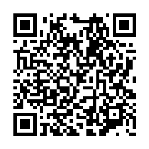狄小言也虽然要张潇晗在上古密地里谋财害命去二维码生成
