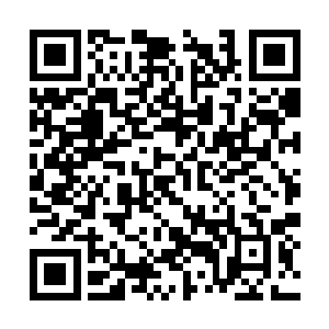 狗哥找了三名他认为颇具实力的非职业玩家来组队二维码生成