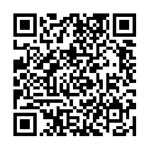 狗子和周围的一干小朋友的眼珠子都快要看掉下来了二维码生成