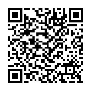 狠狠一掌直接轰在了那头八阶变异兽的头颅之上二维码生成