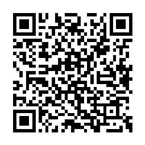 狠狠刺在了波塞冬那已经化为了液态的背心之上二维码生成