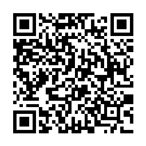 狠狠地拍打在了那前鬼后鬼凝聚而成的巨型鬼神身上二维码生成